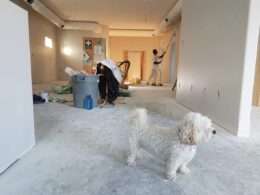 Renovating the Old House - Does it Cost Too much or Just a Myth