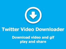 Download Twitter Videos