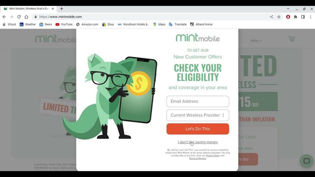 How To Delete My Mint Mobile Account Bizzield